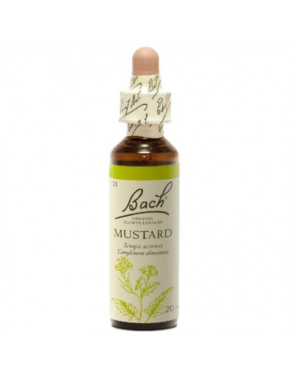 Dr Bach Ανθοϊαμα Mustard 20 ml
