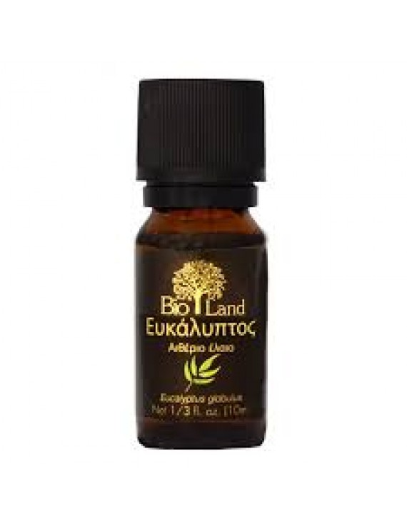 Essential eucalyptus oil 10ml